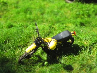 IMG_2007b.jpg