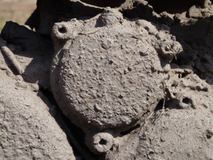 th-0700_oelfilterdeckel.jpg