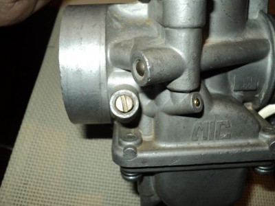 DSC09519-n.jpg