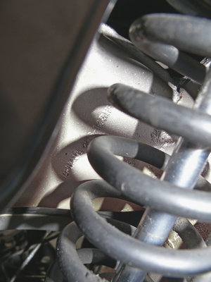 P1120049_klein.jpg