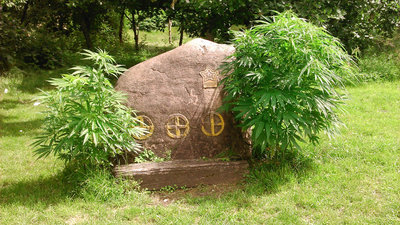 20160715_125048_j_Christiania_Hanf_1100.JPG (470.16 KiB) 19902 mal betrachtet 20160715_125048_j_Christiania_Hanf_1100.JPG