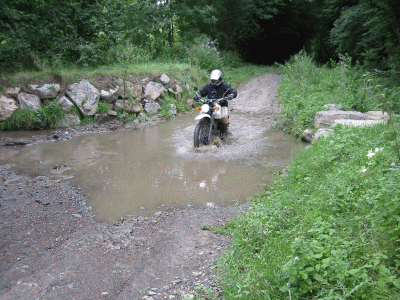 Rit (9).gif