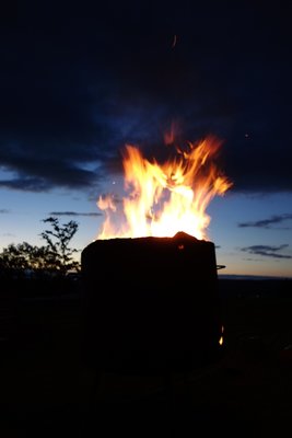 DSC01374.1.JPG