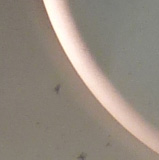 05-detail2.jpg