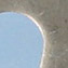 14-detail1.jpg