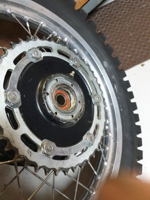 20190428_113538 (1).jpg