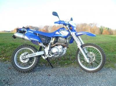 tt 600.jpg