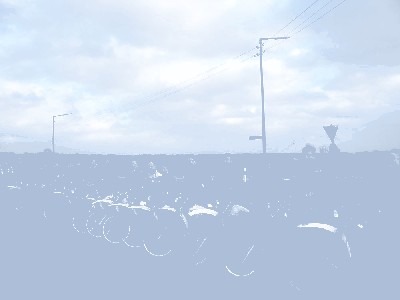 XT 043 Forum1.jpg