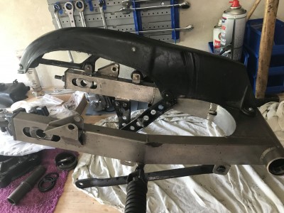 Kastenschwinge k.jpg