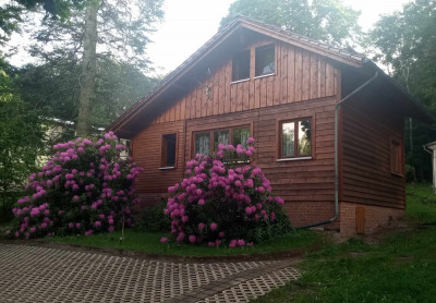 top Ferienhaus klein.jpg