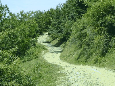 Wege_8.jpg