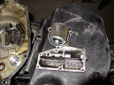 xt 003 Kopie.jpg