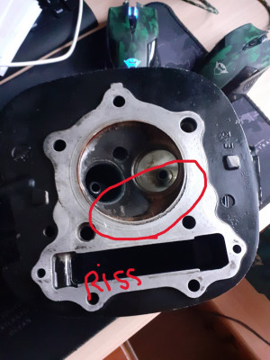 bg.jpg (367.35 KiB) 2423 mal betrachtet bg.jpg