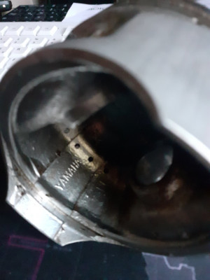 20240920_190458.jpg