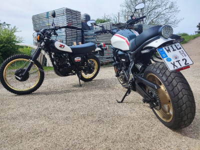 XSR6.jpg