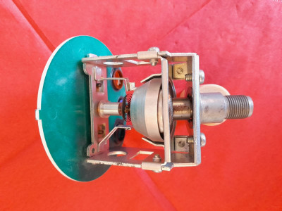 20250726_170218 x.jpg