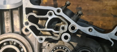 20260110_120253.jpg