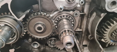 20260110_170321.jpg