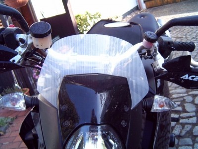 DogShield1.JPG
