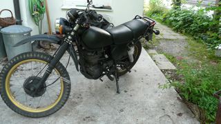 P1010104.jpg