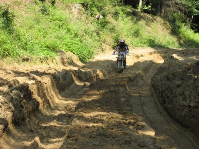 Waldautobahn.jpg