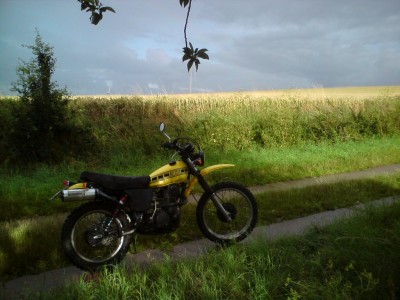 xt.jpg