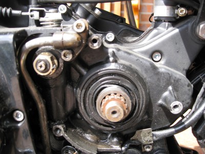 Motor.jpg