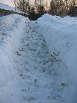 Kalle_on_Ice_10.JPG