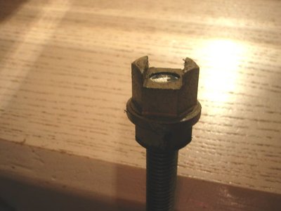 IMG_9837.jpg