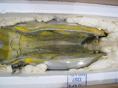 tank2.jpg