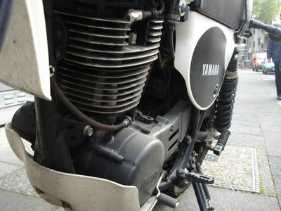 DSC00685.JPG
