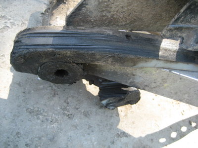 IMG_9995.JPG