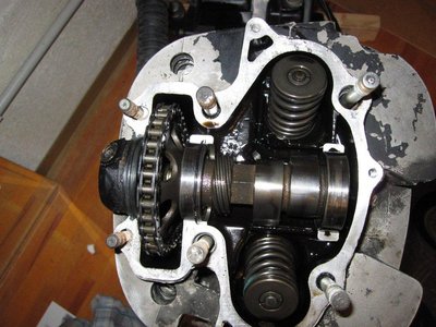 IMG_2553 (2).jpg