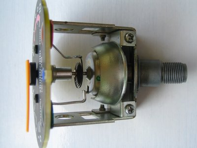 DZM1.jpg