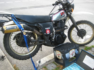Hoch das Pinkel Bein.jpg