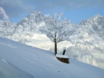 Panorama w.jpg
