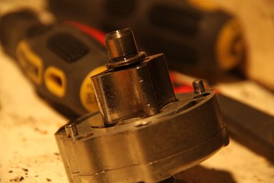 IMG_4310_klein.jpg