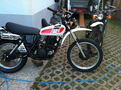 motorang-action-web.jpg