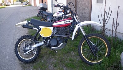 IMGP5133_b.jpg