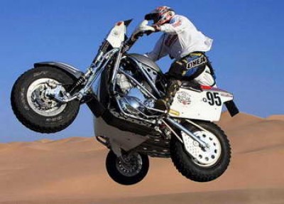 HogWildRacing-1.jpg