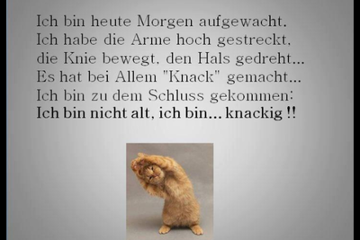 IMG_0492.PNG