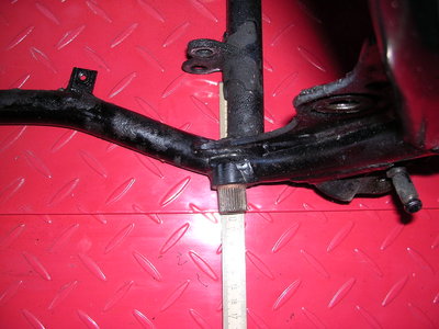DSCN8365.JPG