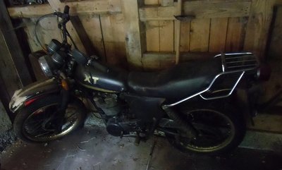XT.jpg