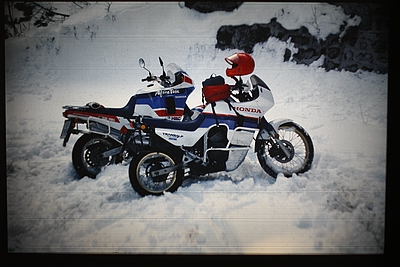 comp_IMG_1948.jpg