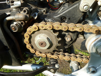 P1080289 Ritzel klein.jpg