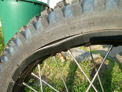 P1080291 Delle klein.jpg