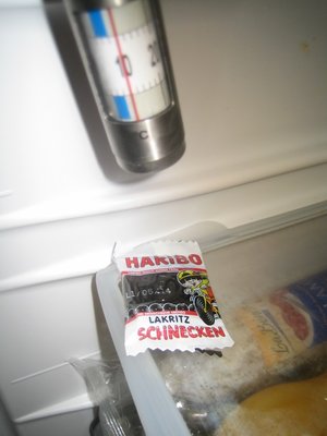 Kedo-Schnecke.JPG